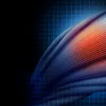 Sans cette protéine, les muscles endommagés se transforment en graisse et en tissu cicatriciel.