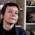 Websérie sur Ginette Auxiette, archéozoologue, explore la préhistoire et ses découvertes.