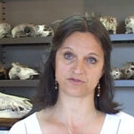 Websérie : Isabelle Rodet-Belarbi, spécialiste de l&rsquo;artisanat, explore les métiers d&rsquo;art en France.