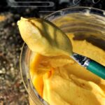 Sorbet aux mirabelles et sirop d&rsquo;érable : recette simple au Ninja Creami à découvrir.