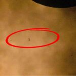 L’ISS se positionne devant l’éclipse solaire, créant une image saisissante dans l’espace.