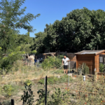 Au Jardinot des Aygalades, une agriculture urbaine issue des terres industrielles.