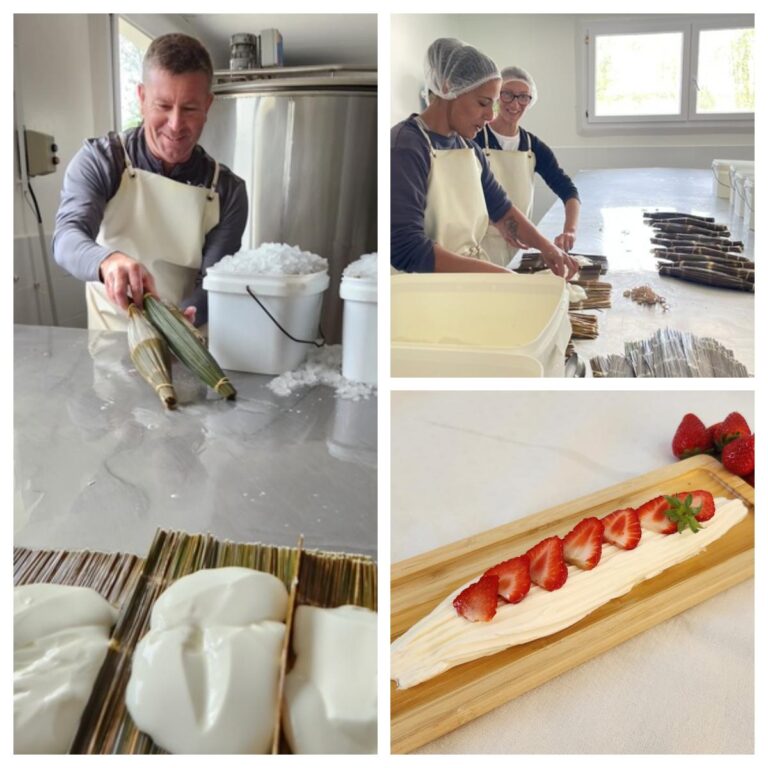 Pays Rochefortais : Sébastien Renoux explore la jonchée, patrimoine local gourmand.