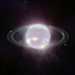 Trois lunes de Neptune pourraient être des vestiges de mondes de glace détruits.
