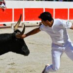 Joachim Cadenas réagit après sa suspension de 45 jours par la Fédération française de course camarguaise.