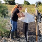 En Camargue, la Tour du Valat étudie les comportements des chauves-souris locales.