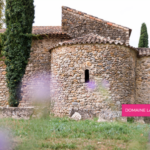 Art & Vin explore la transformation sensorielle dans les vignobles français.