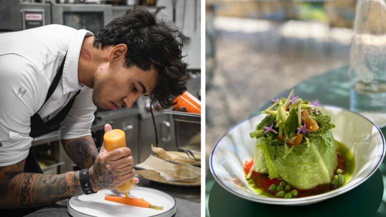 Déjeuner sous la tonnelle au Mas de Peint : rencontre entre chefs locaux et producteurs régionaux