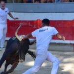 Course camarguaise : Oufkir remporte la finale du Raisin d’Or à Jonquières-Saint-Vincent.
