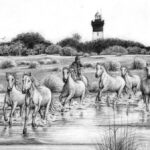 Les paysages camarguais illustrés par des artistes locaux mettent en valeur les traditions.