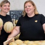Des melons charentais vendus directement du champ en Charente, une production rare.