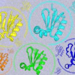 MIT explore des séquences non naturelles pour des avancées en biologie synthétique