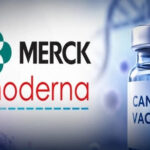Moderna et Merck annoncent des avancées dans le développement d&rsquo;un vaccin anticancéreux à ARNm.