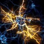 Des scientifiques identifient les raisons pour lesquelles les nerfs endommagés peinent à guérir.