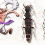 Des scientifiques nomment une nouvelle espèce de coléoptères « Luffy » en raison de leur élasticité.