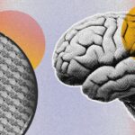 IA : des neurones humains développés pour réduire la consommation des serveurs informatiques