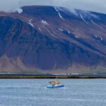 Référendum sur l&rsquo;Europe : l&rsquo;Islande face à des choix cruciaux pour son avenir européen