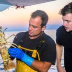 Immersion avec Fabien Gardon, pêcheur à La Ciotat, face aux défis de son métier.