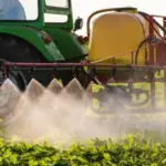 Pesticides : la France privilégie la santé des enfants aux cultures de betteraves
