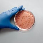 Des chercheurs explorent l&rsquo;utilisation de champignons pour transformer le régolithe lunaire et martien en terre cultivable.