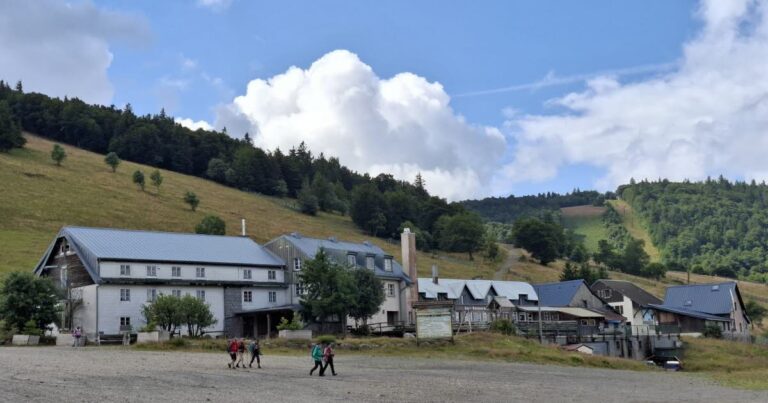 Saint-Maurice-sur-Moselle : exploration de la chaume des Neufs-Bois et de ses étangs.