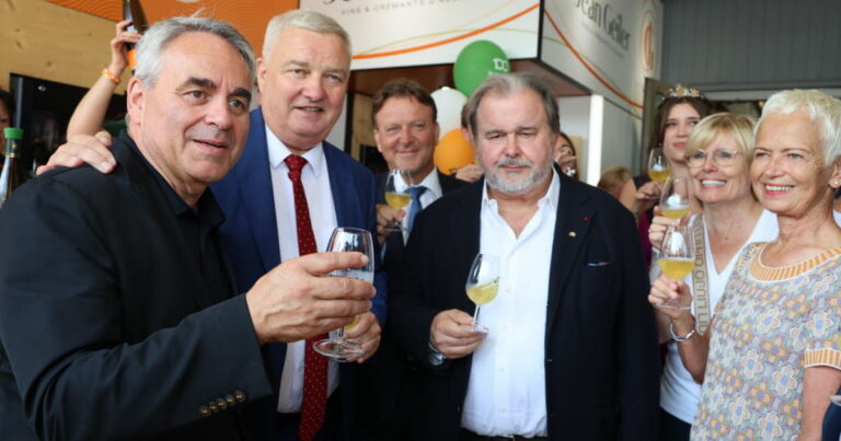 Foire aux vins de Colmar 2026 : inauguration entre viticulture et pâtisserie.