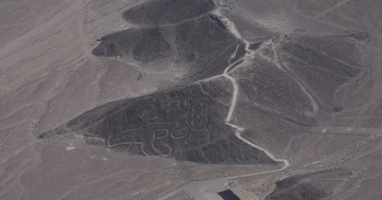 Crash d’avion au Pérou : 13 morts parmi des touristes survolant les lignes de Nazca