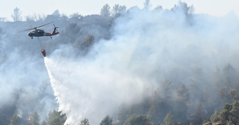Incendies dans le Var : 6 300 hectares ravagés par les flammes.