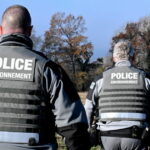 Loup en Hauteville : les agriculteurs alertent sur les prédations croissantes.