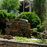 Firminy : Le fleurissement face au dérèglement climatique s&rsquo;aggrave, alertent les experts.