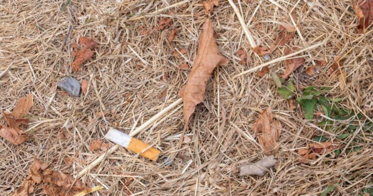 Yannick Neuder propose une taxe sur les cigarettes pour financer la lutte contre les incendies.