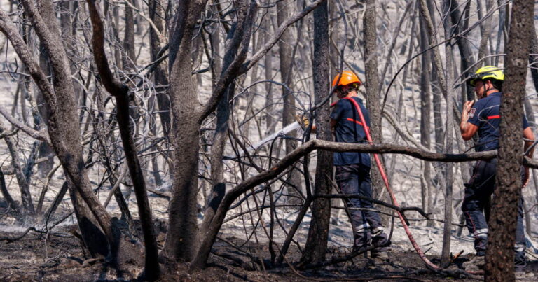 Un incendie ravage 400 hectares dans les Landes en pleine canicule record.