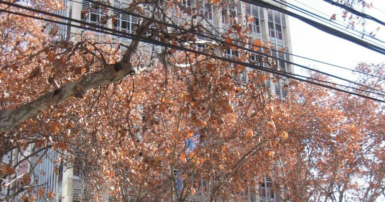La justice argentine annule l’acquittement d’une ex-nonne accusée de viols d’enfants sourds.