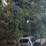 Incendie d&rsquo;une voiture provoque un départ de feu près d&rsquo;un lotissement à Lyon.