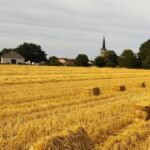 L&rsquo;aménagement du lotissement Meix Ravas progresse selon le calendrier établi par la municipalité.