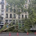 Orage intense à Lyon : chute de douze arbres et rafales jusqu’à 114 km/h.