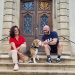 Un chien beagle, Newton, rassure les élèves du collège des Missions à Blotzheim.