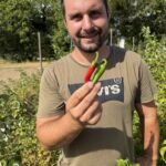 Quentin Bozonnet relance la production de piment de Bresse en redynamisant les cultures.
