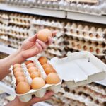 Des œufs suspectés de salmonellose : 306 cas en Belgique, alerte en France.