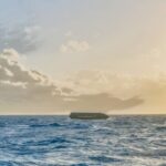 SpaceX récupère le Starship 40 en Australie grâce à des images satellites.