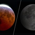 Prochain événement astronomique : éclipse lunaire visible dans plusieurs régions du monde.