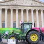 L’Assemblée adopte une loi agricole incluant un article sur l’acétamipride en dérogation.