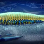 Une créature vieille de 518 millions d&rsquo;années éclaire l&rsquo;évolution des crochets des araignées.