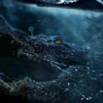 Alexandre Aja utilise des alligators pour menacer Mason Gooding dans un nouveau projet.
