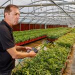 Robin Pépinières et Jardineries : 80 ans de services horticoles dans le Champsaur et Manosque