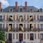 Les musées insolites en France attirent un public diversifié et suscitent l’intérêt culturel.