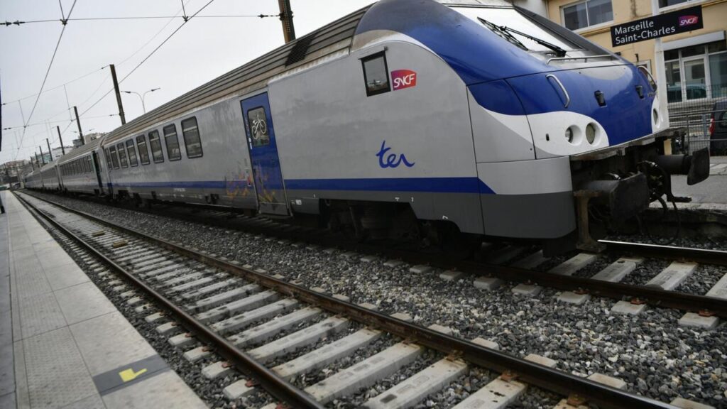 Déraillement d’un train en Seine-Maritime, plusieurs dizaines de blessés signalés