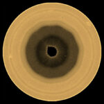 Des images du télescope Hubble montrent un décagone étrange au pôle sud de Saturne.