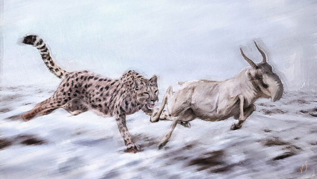 L’American cheetah, un prédateur méconnu : études révèlent ses véritables origines.