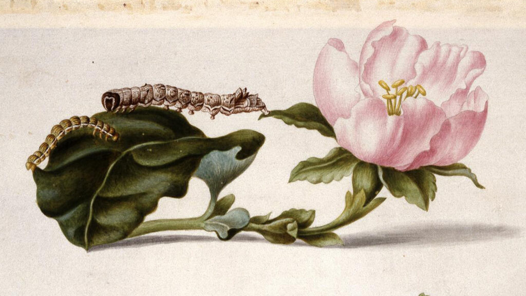 Des chercheurs révèlent que l’art historique peut dissimuler des secrets scientifiques.